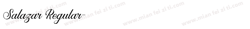 Salazar Regular字体转换